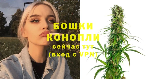 ГАЛЛЮЦИНОГЕННЫЕ ГРИБЫ Вязники